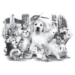 PET PARTY 13432SA4.gif
